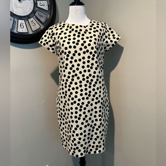 J Crew Cream and Black Polka Dot knee Length Short Sleeve Dress Size 2 - Picture 2 of 11